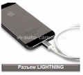 Кабель для iPhone 5 / 5S / 5C, iPad Mini, iPad Air и iPad 4 Puro USB to Lightning Connector Cable, цвет silver (CAPLTMETALSIL)