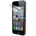 Матовая защитная пленка для экрана iPhone 5 / 5S Barey (B/SP-5-Mt-Pl)