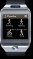 Умные наручные часы для смартфонов и планшетов Samsung Samsung Gear 2, цвет Titan Silver (SM-R3800)