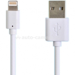 Кабель для iPhone 5 / 5S / 5C, iPad 4 и iPad mini Henca USB Data Lightning, цвет белый (LD01U-i16P)