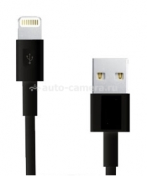 Кабель для iPhone 5 / 5S / 5C, iPad 4, iPad Air и iPad mini Dorten Lightning to USB Cable, цвет черный (DN302002)