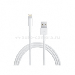 Кабель USB для iPhone 6/6 Plus/5/5S/5C, iPad Air/Air 2/, iPad mini 2/3 Lightning to USB Cable OEM