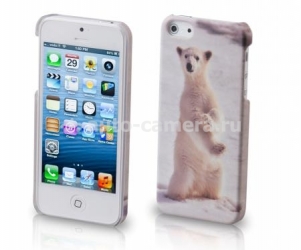 Пластиковый чехол на заднюю крышку iPhone 5 / 5S Denn "Медведь. Северный полюс" (DCS100b)